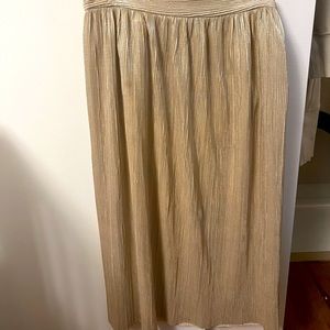Zara Shimmery Champagne Skirt